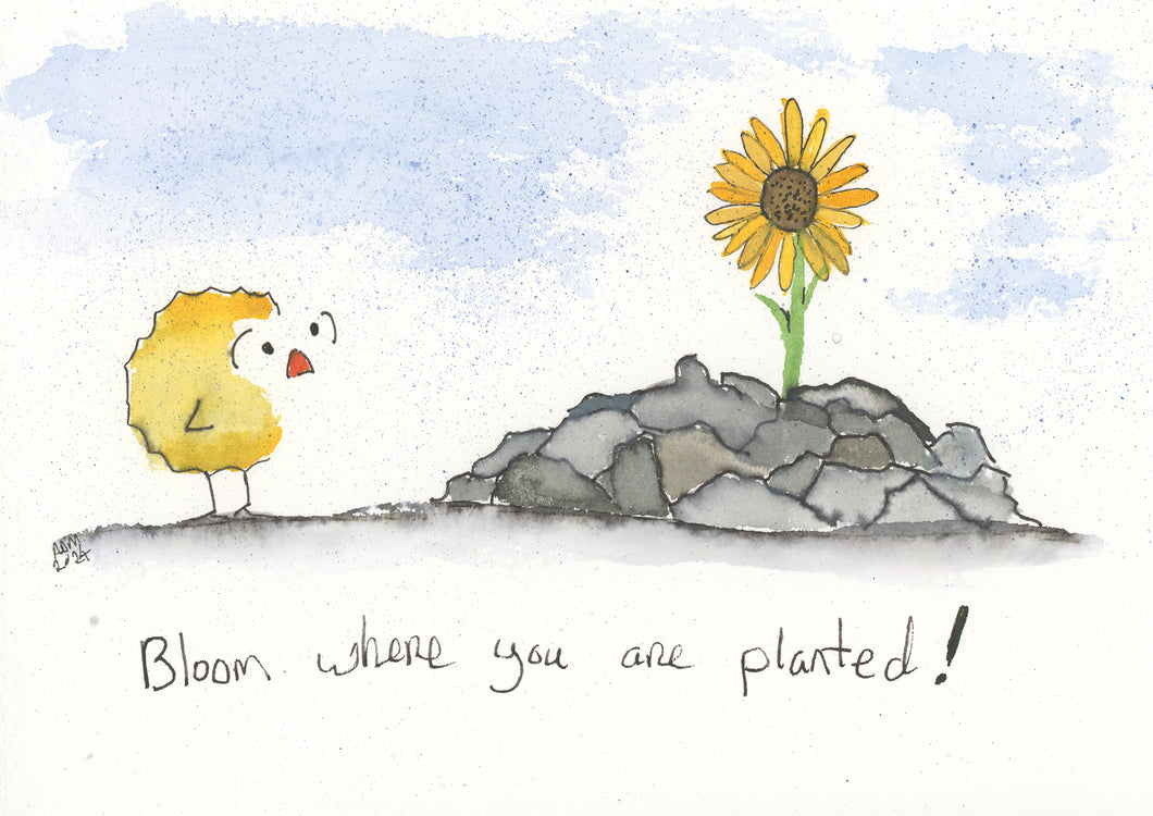 Bloom Where You are Planted!