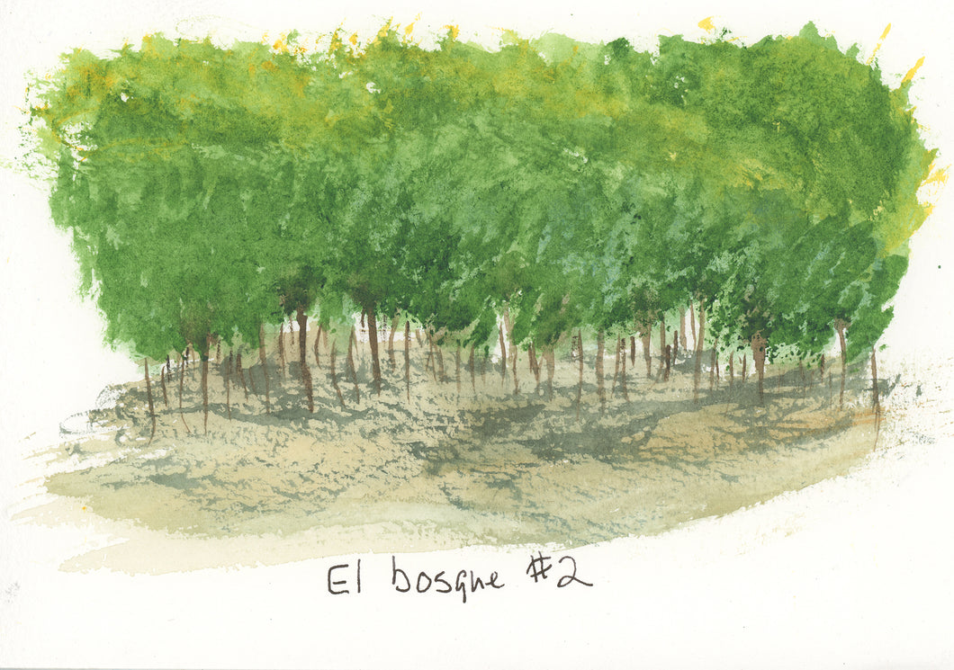 El Bosque #2