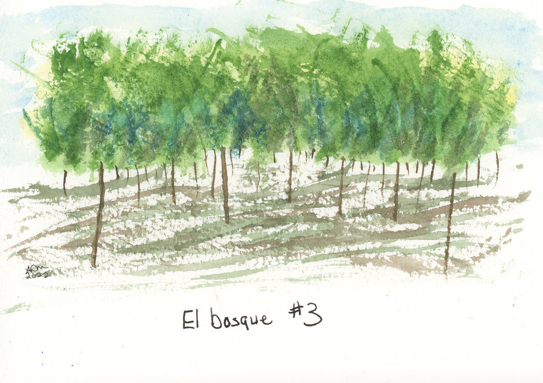 El Bosque #3